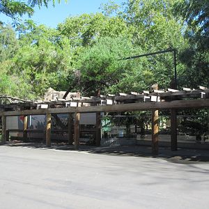 Snow Leopard + Giant Anteater Exhibits