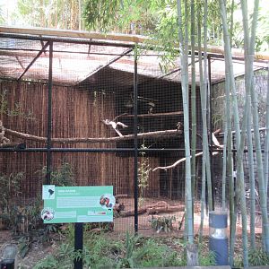 King Vulture Exhibit