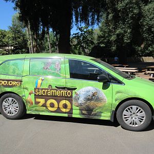 Zoo Car