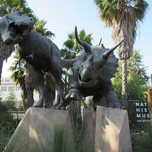 Dinosaur Statues