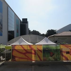 Butterfly Pavilion (the smallest in the nation?)