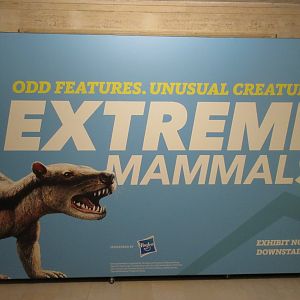 Extreme Mammals - Huge Poster