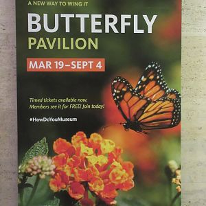 Butterfly Pavilion (the smallest in the nation?)