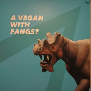 Extreme Mammals - Huge Poster