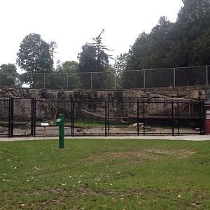 Goat and Sheep Exhibit