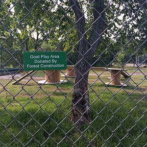 Sheep And Goat Exhibit