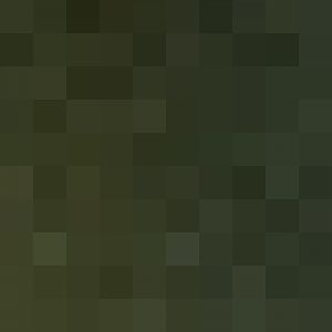 White-belted Ruffed Lemur