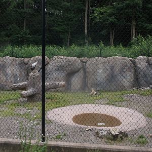 Vulture and Porcupine enclosure