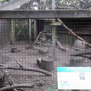 Arctic Fox enclosure