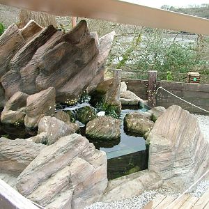 Cornish Coast Experience at the National Seal Sanctuary 11/04/09