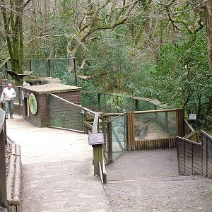 Otter pool at the National Seal Sanctuary 11/04/09
