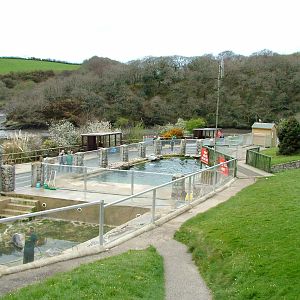 Seal pools at the National Seal Sanctuary 11/04/09