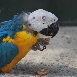 Tierpark Chemnitz - March 2008