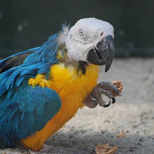 Tierpark Chemnitz - March 2008
