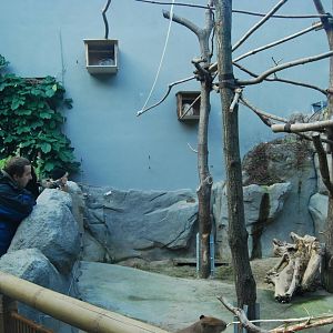 Tierpark Chemnitz - March 2008.