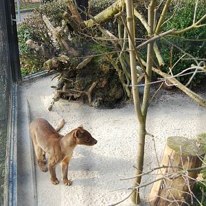 Tierpark Chemnitz - March 2008.
