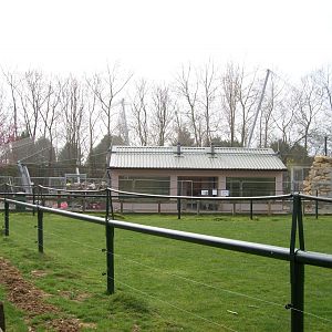 New Snow leopard enclosure