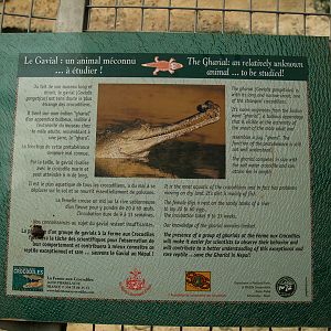 La ferme aux crocodiles - Gharial