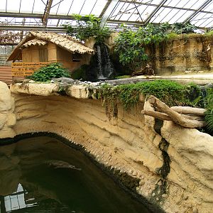 La ferme aux crocodiles - Gharial exhibit