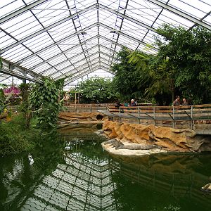 La ferme aux crocodiles - Greenhouse