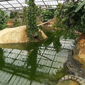 La ferme aux crocodiles - Greenhouse
