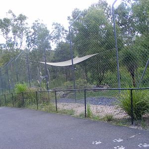 Exhibit-Sumatran Tiger-Cairns Wildlife Safari Reserve-April, 2009