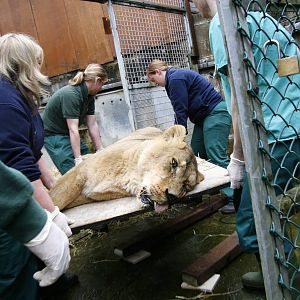 Weighing Moti 9th April 2009