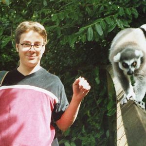 Ring tailed Lemur (On right)