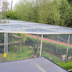 Aerial view of lynx enclosure - Shepreth Wildlife Park - 17 April 2009