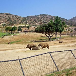Kilimanjaro Safari Walk