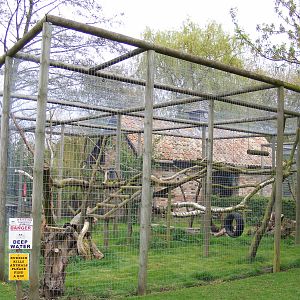 Crab eating macaque enclosure - Shepreth Wildlife Park - 17 April 2009