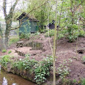 Meerkat island - Shepreth Wildlife Park - 17 April 2009