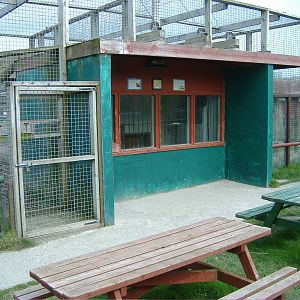 African Leopard Enclosure -Animalarium