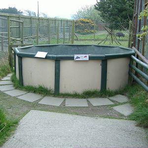 Ferret enclosure Animalarium