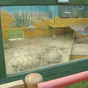 Tortoise house Animalarium