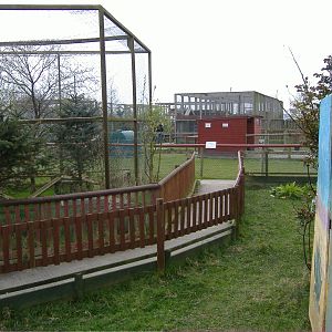 Geffroys cat outside enclosure Animalarium