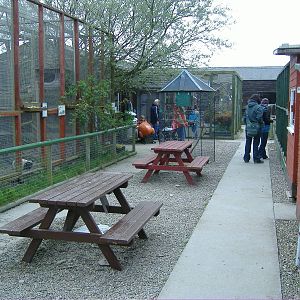 Primate cages Animalarium