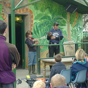 Reptile Talk Animalarium