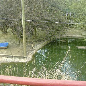 Peacock and waterfowl Animalarium