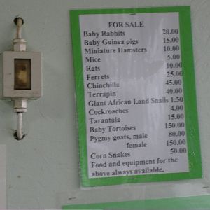 Pricelist Animalarium