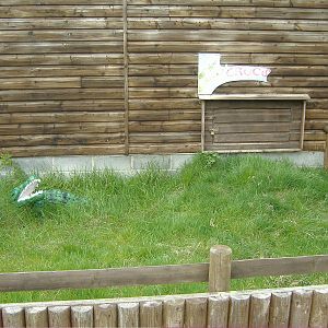 Outdoor crocodile pen Animalarium