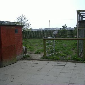 Rhea Paddock Animalarium