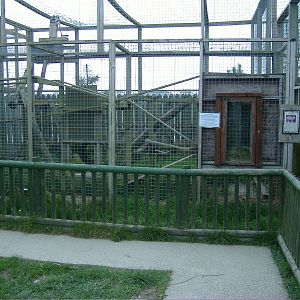 Ocelot house and enclosure Animalarium