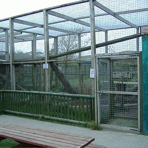 African Leopard Enclosure Animalarium