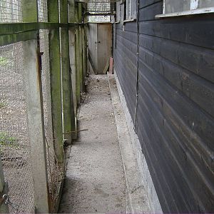 Primate Service Tunnel Animalarium