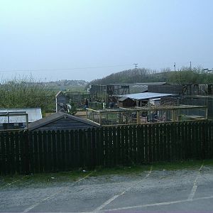 Veiw from Road Animalarium