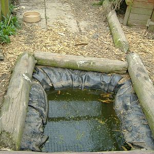 Example of pool Animalarium