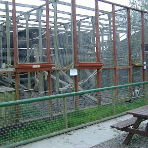 Primate and raccoon cages Animalarium