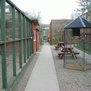 Ring tailed lemur and praire dogs Animalarium