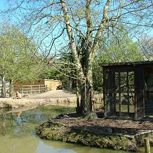 South American enclosure at Newquay Zoo 11/04/09